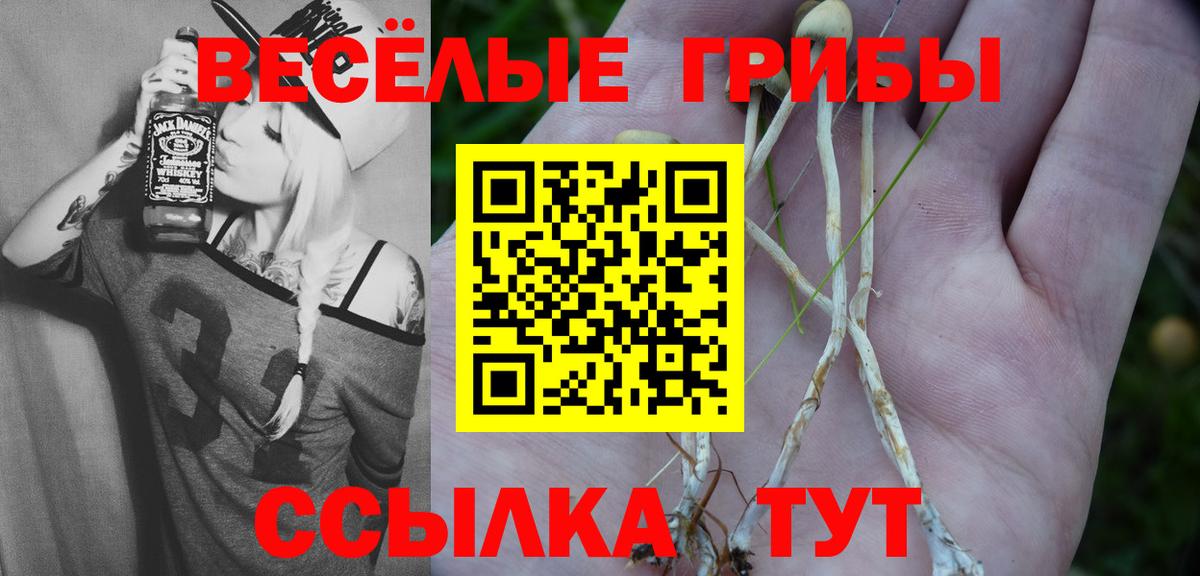 Галлюциногенные грибы MAGIC MUSHROOMS Балтийск